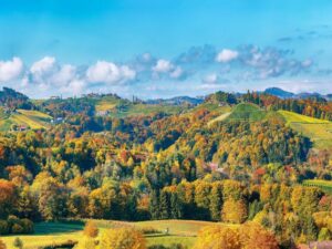 Büroauflösung Dürnstein in der Steiermark